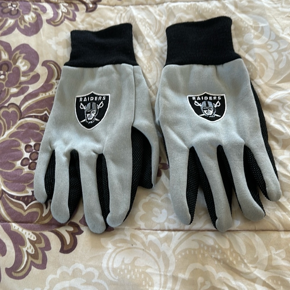 Raiders gloves